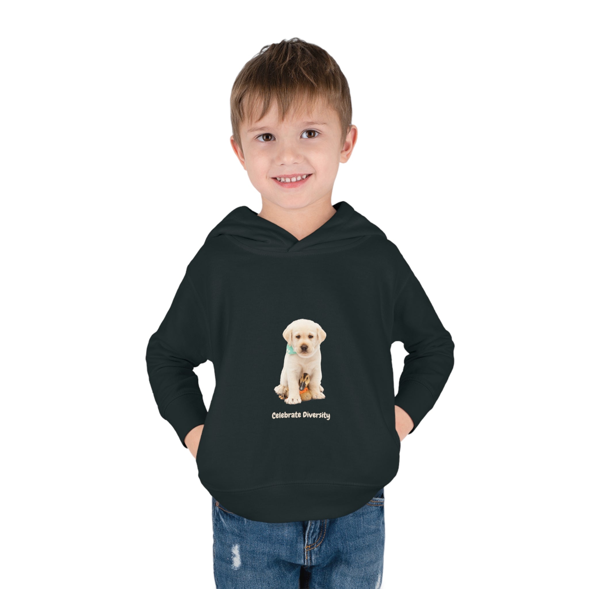 Toddler boy wearing vintage smoke unisex hoodie with "Celebrate Diversity" inspired graphic with puppy and duck on front.
