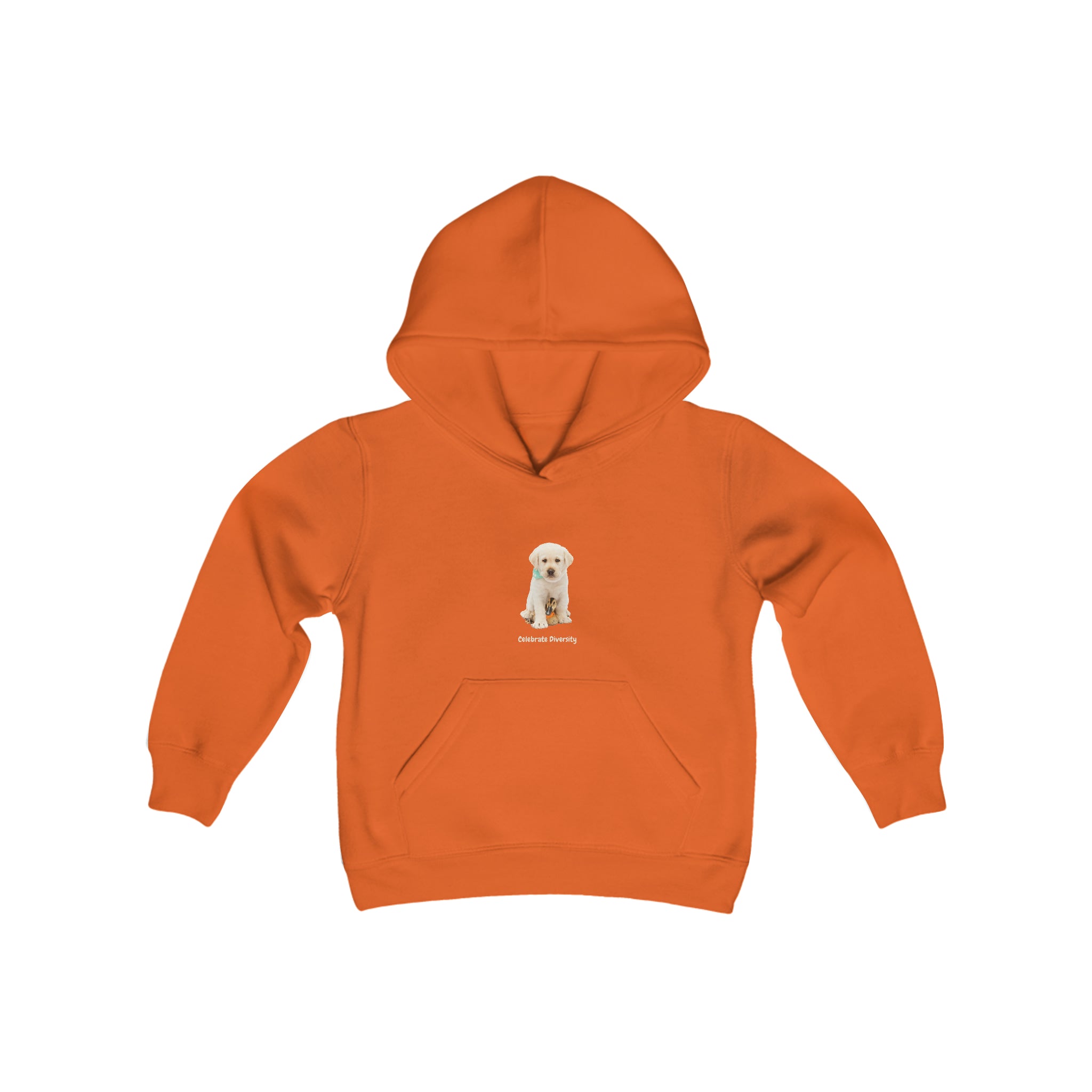 Youth unisex orange hoodie with "Celebrate Diversity" inspired graphic with puppy and duck on front.