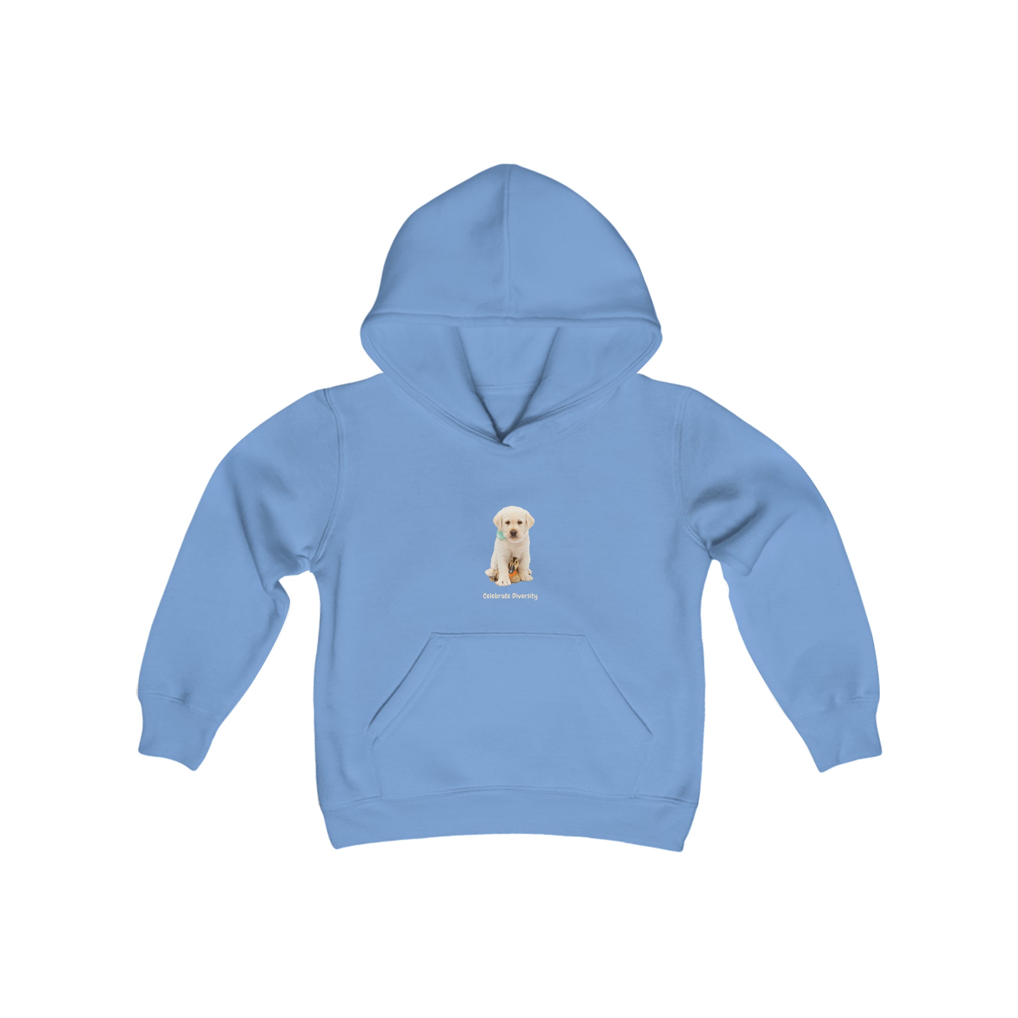 Youth unisex carolina blue hoodie with "Celebrate Diversity" inspired graphic with puppy and duck on front.