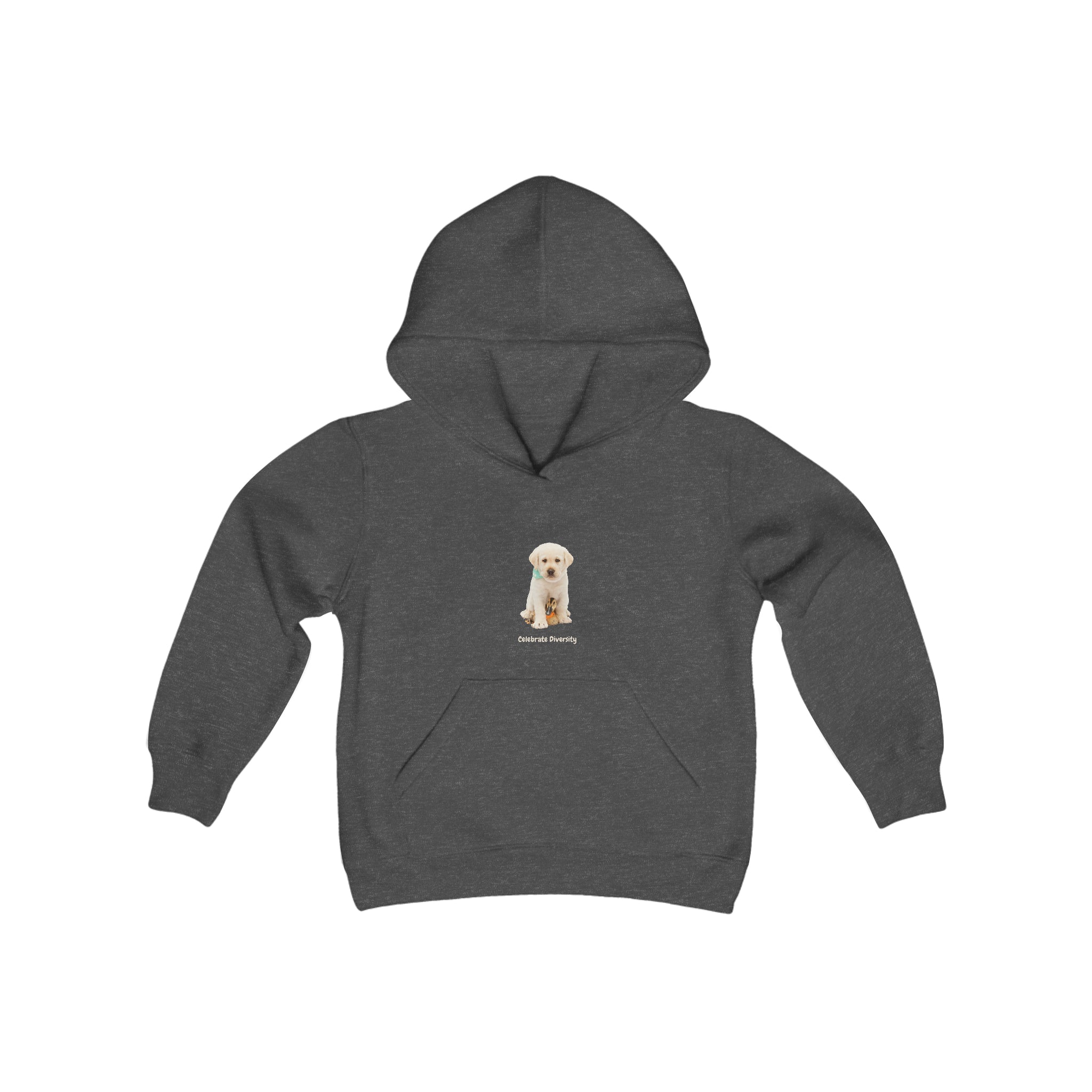 Youth unisex charcoal hoodie with "Celebrate Diversity" inspired graphic with puppy and duck on front.